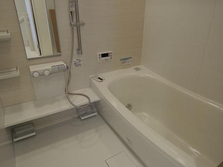 Same specifications photo (bathroom). UB construction cases