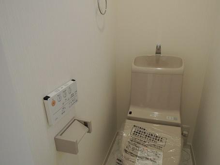 Toilet. Toilet construction cases