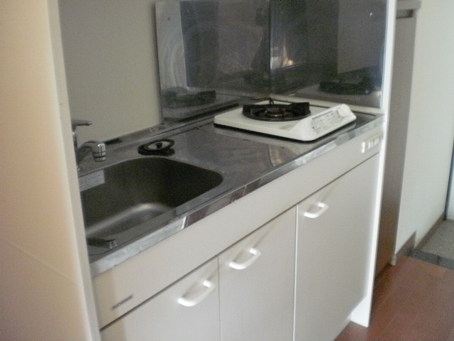 Kitchen. Gas stove 1-neck