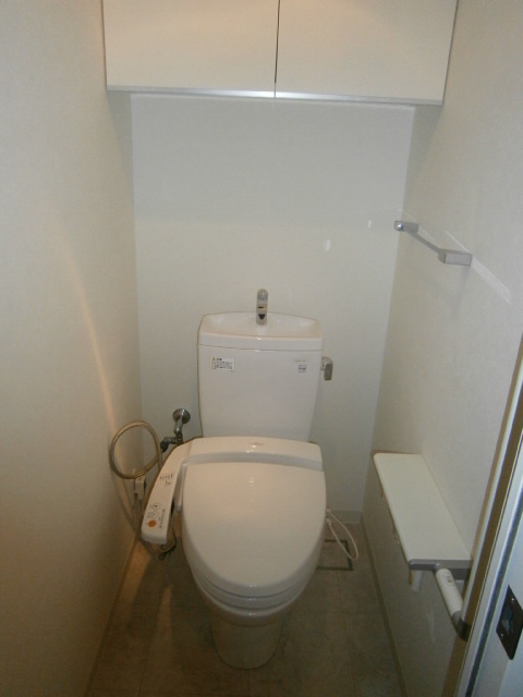 Toilet. Bathroom with a shower