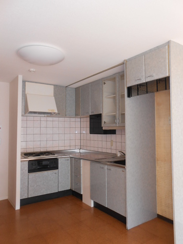 Kitchen. L-shaped kitchen