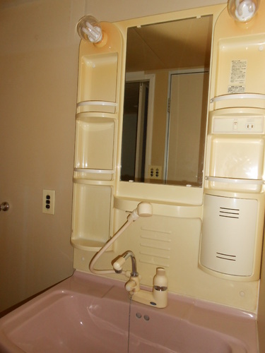 Washroom. Vanity with a shower head