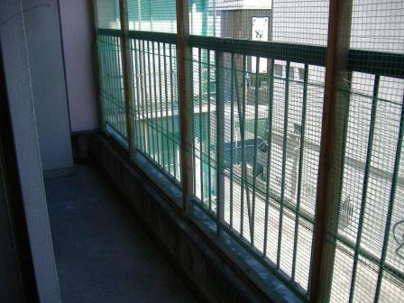 Other room space. Veranda With shade bird net