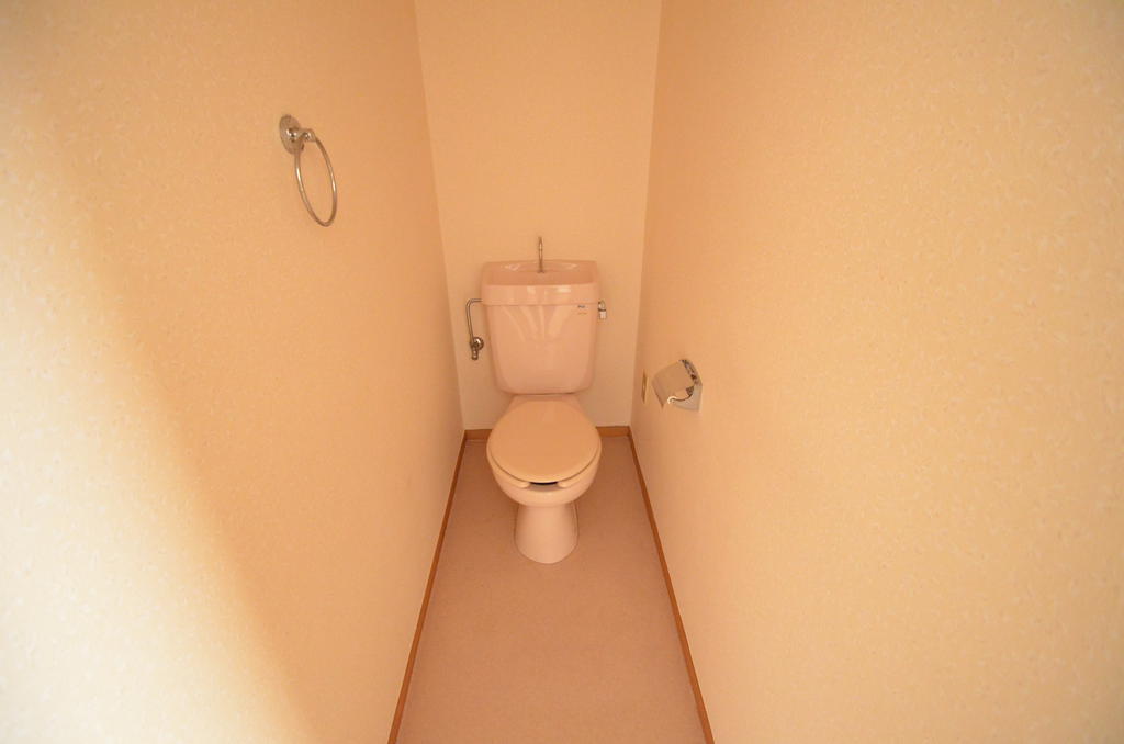 Toilet. Toilet