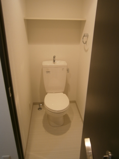 Toilet. It comes with a shelf and into a wall socket