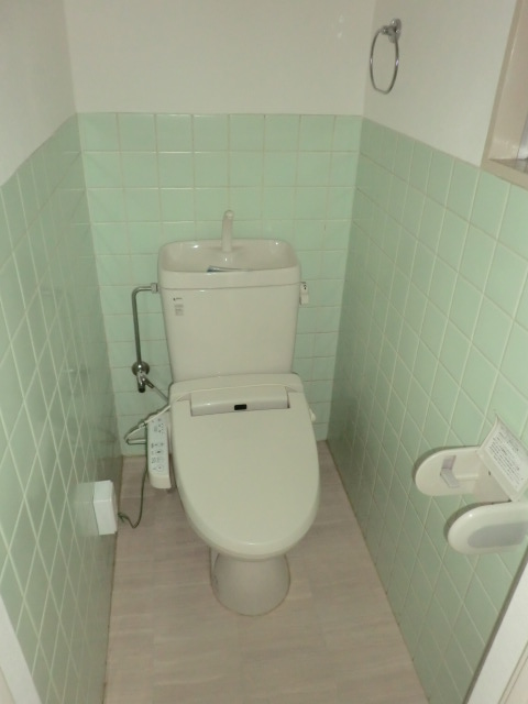 Toilet. It is with a bidet.