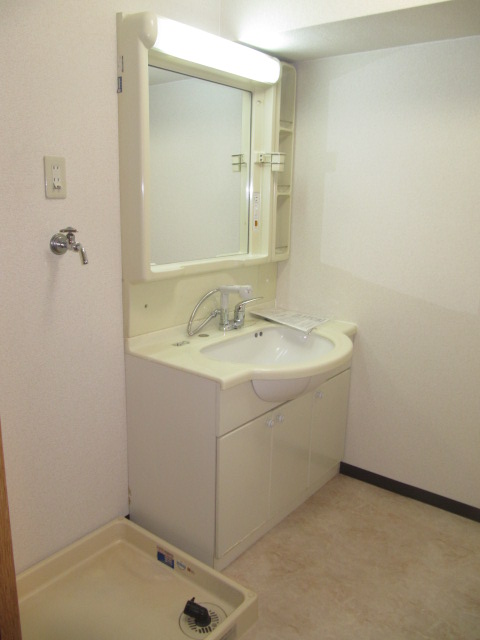 Washroom. Shampoo dresser