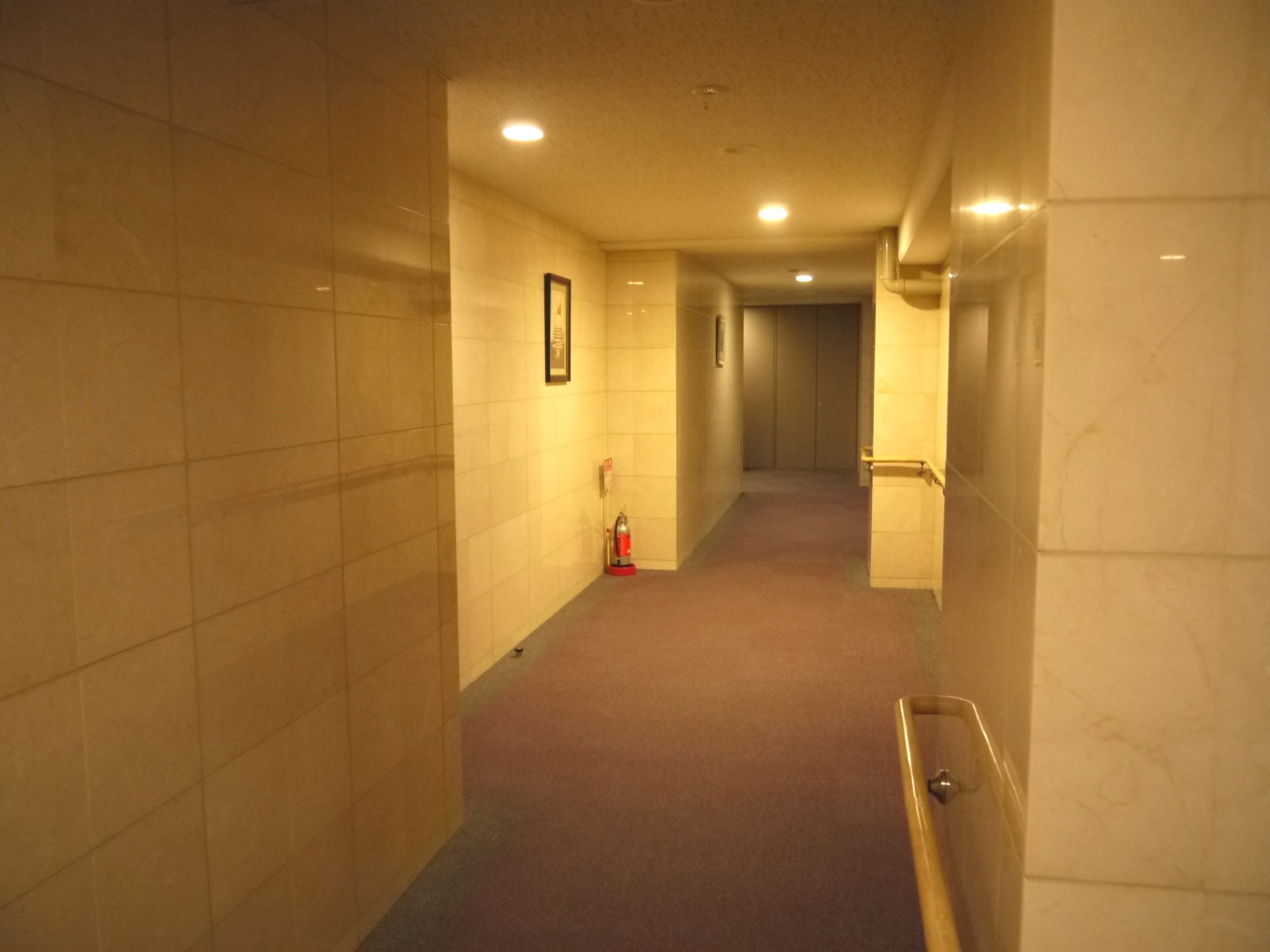 Other common areas. Also use the marble, such as the hotel corridor shared part. 