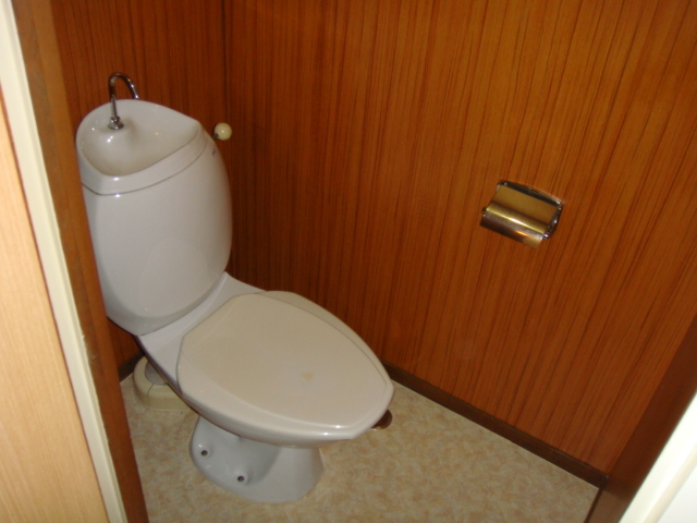 Toilet