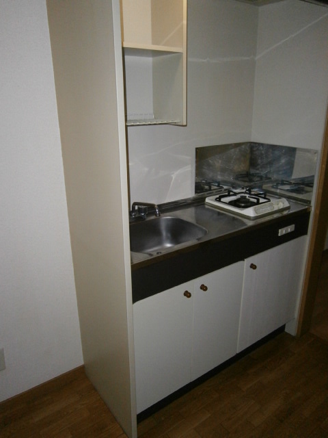 Kitchen. Gas stove 1-neck