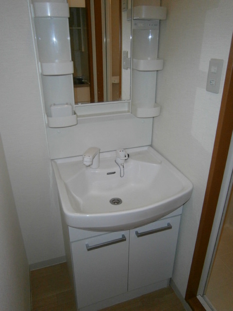 Washroom. Shampoo dresser