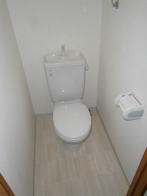 Toilet. Clean toilet