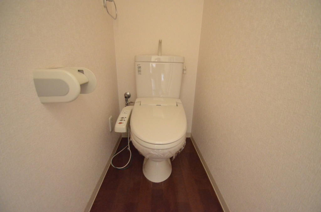 Toilet. Bidet