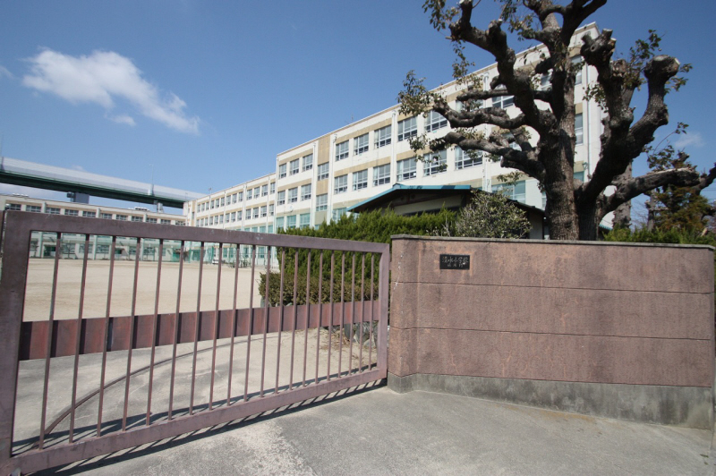 Primary school. Shimizu 736m up to elementary school (elementary school)