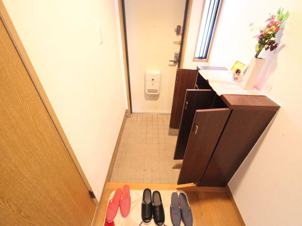 Entrance. Entrance Shoes with a box (storage rich have)
