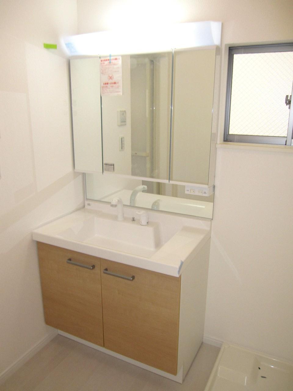 Wash basin, toilet. Vanity with shower