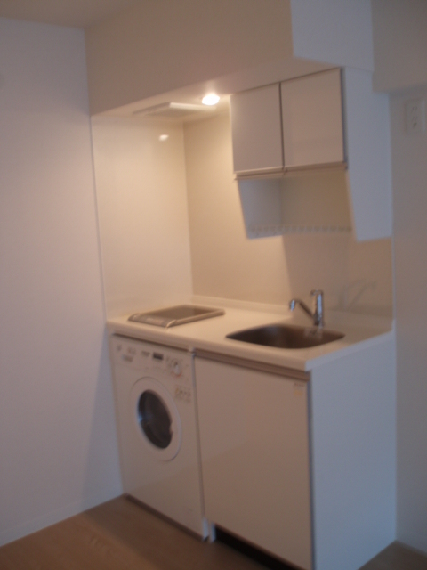 Kitchen. With built-in washing machine in the kitchen