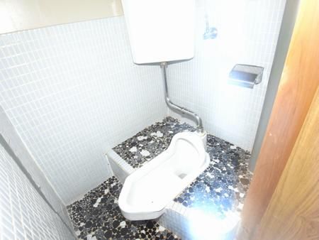 Toilet. Toilet of Japanese style