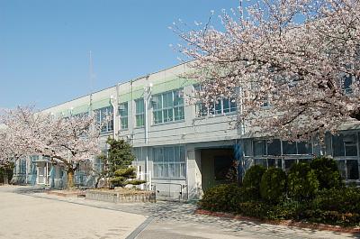 Primary school. Nagoyashiritsudai 216m to cedar elementary school