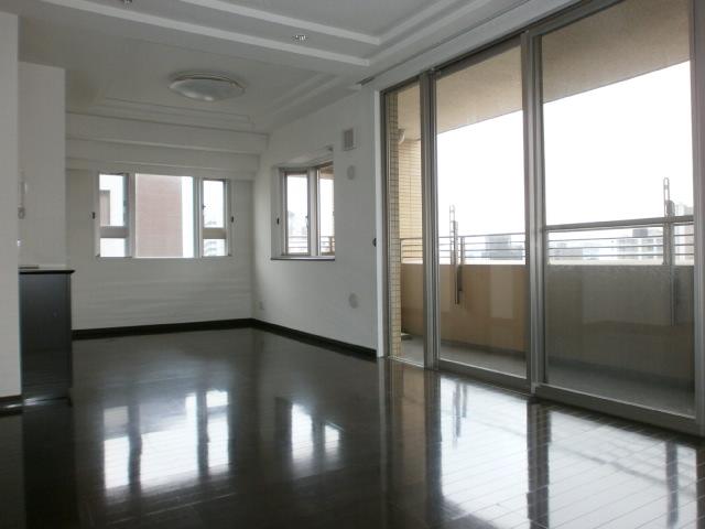 Living. Bright and airy living-dining (12 May 2013) Shooting