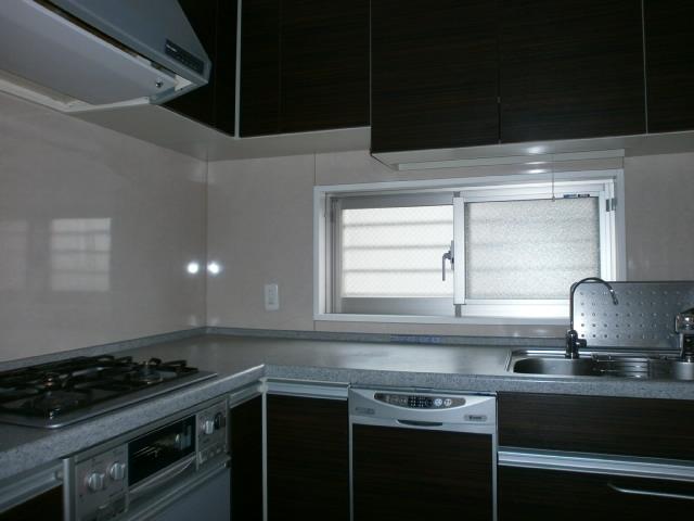 Kitchen. Indoor (12 May 2013) Shooting