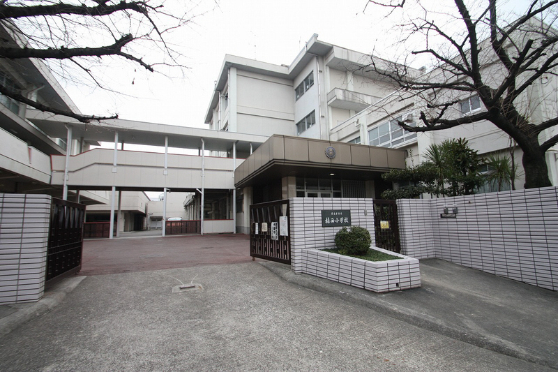 Primary school. Kusunoki Nishi Elementary School until the (elementary school) 863m