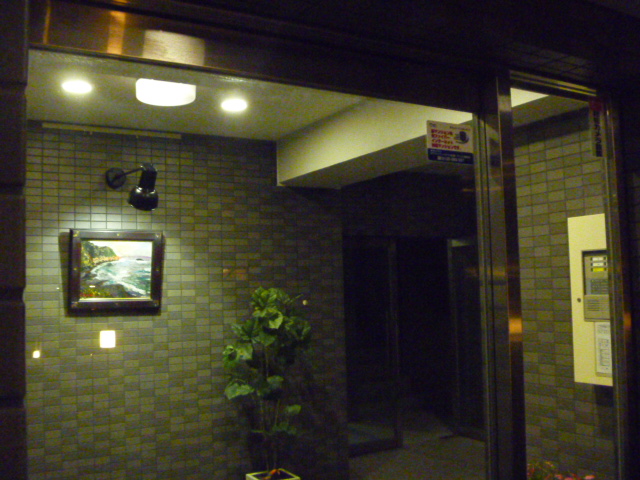 Entrance. Entrance (at night)