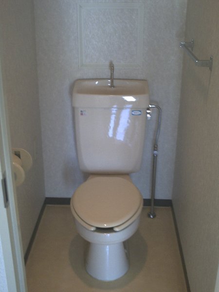 Other. Toilet