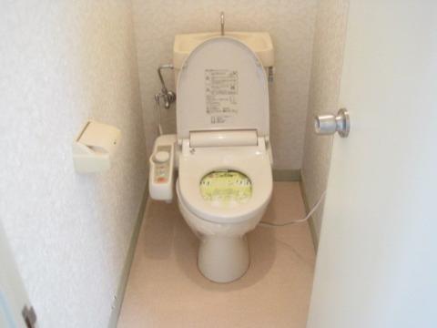 Toilet. Toilet with shower