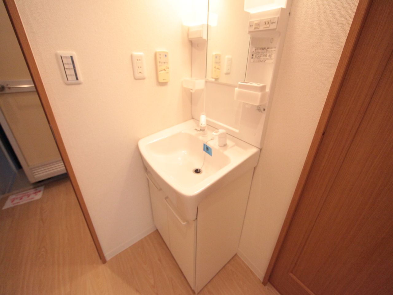 Washroom. Shampoo dresser