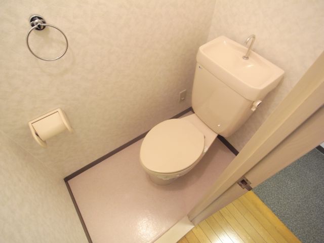 Toilet. Spacious space.