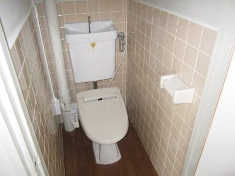 Toilet. Toilet with shower