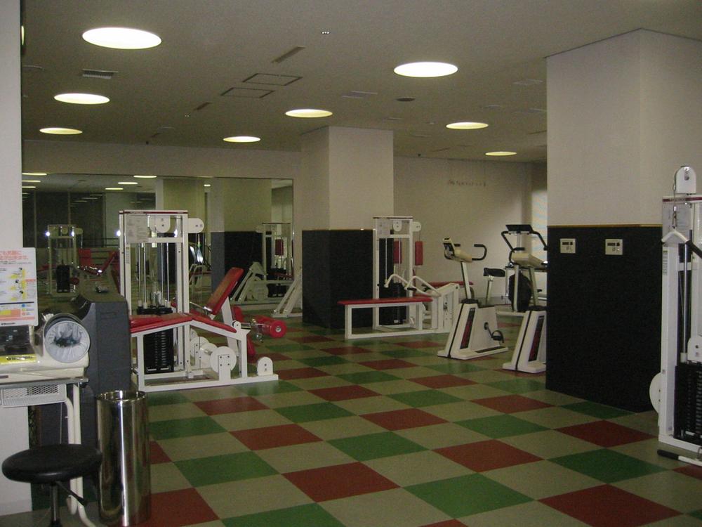 Other common areas. We photographed the fitness room of the gym of the second floor in the apartment.