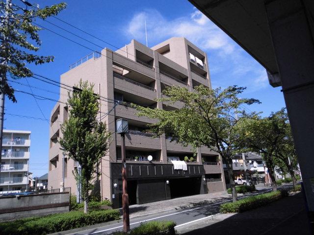 Local appearance photo. Local (September 2013) Shooting