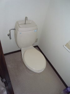 Toilet