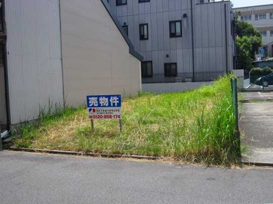 Local land photo
