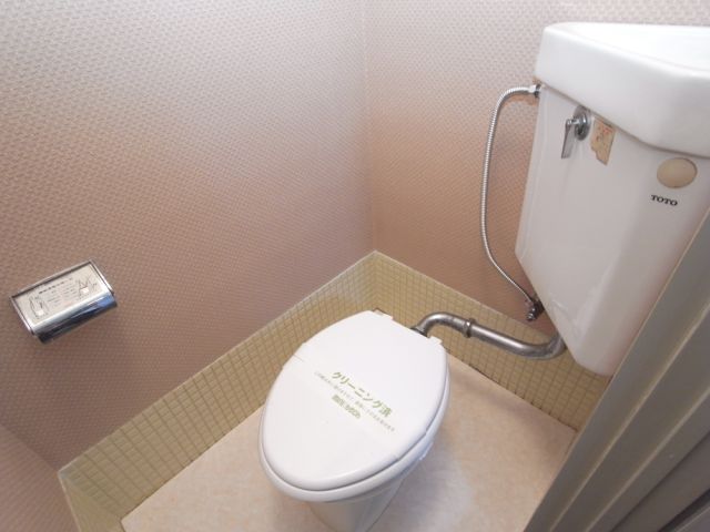 Toilet. Western-style toilet