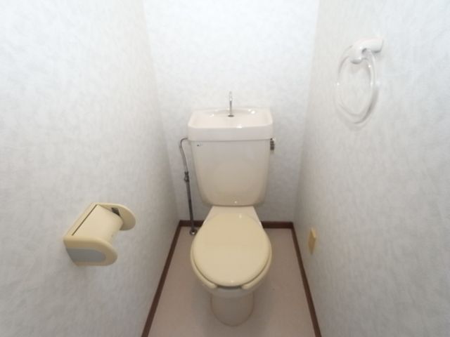 Toilet. Toilet