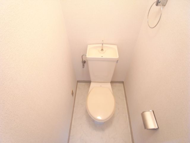Toilet. Outlet, This shelf has a Western-style toilet