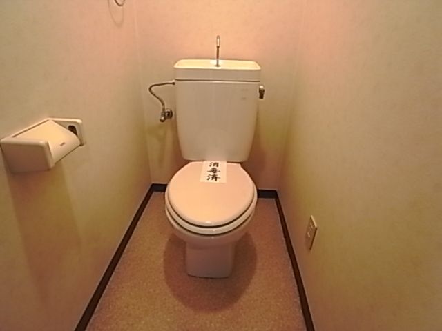 Toilet. Toilet