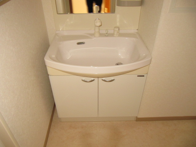 Washroom. Shampoo dresser