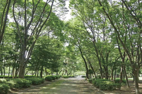 Surrounding environment. Meijo Park (bicycle about 10 minutes ・ About 2500m)