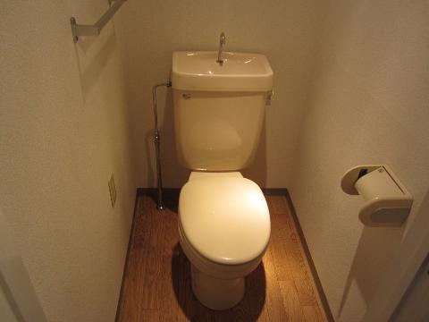 Toilet. WC