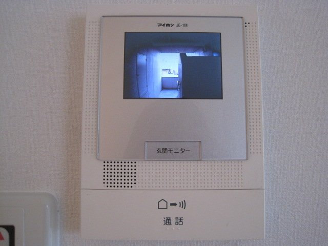 Security. TV monitor Hong