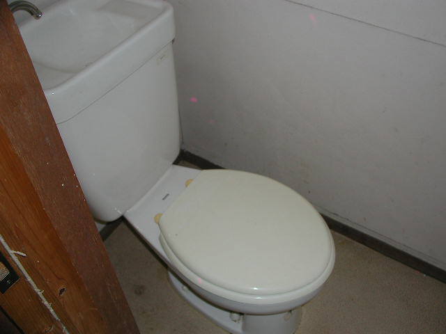 Toilet