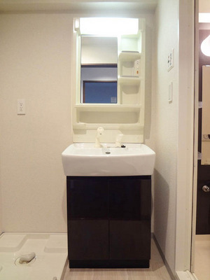 Washroom. Bathroom Vanity