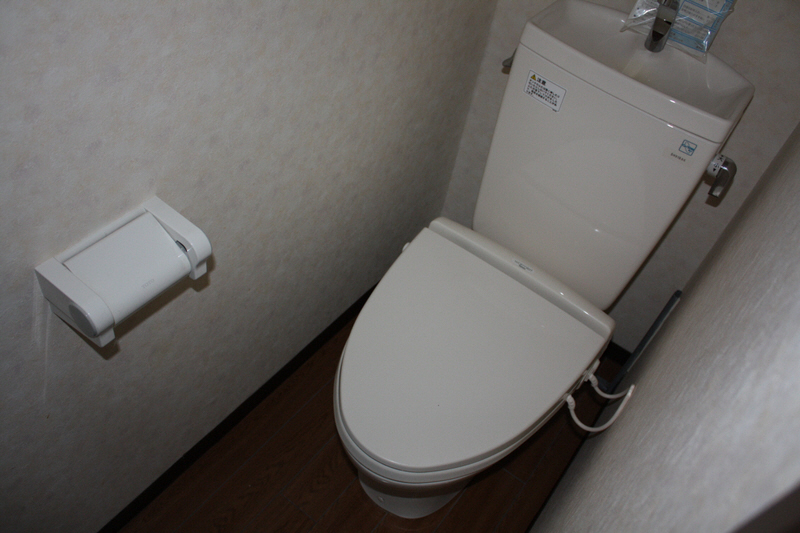 Toilet. Toilet with cleanliness.