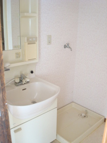 Washroom. Shampoo dresser