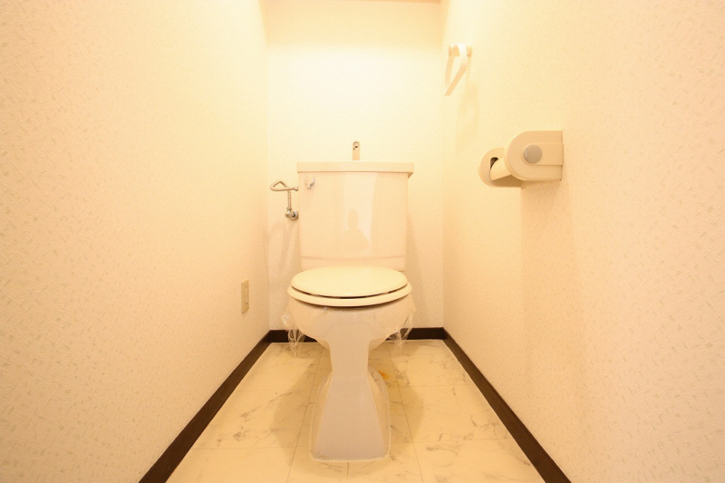 Toilet. It is the restroom.