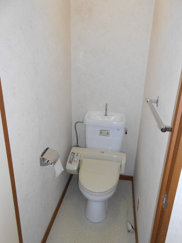 Other. Toilet